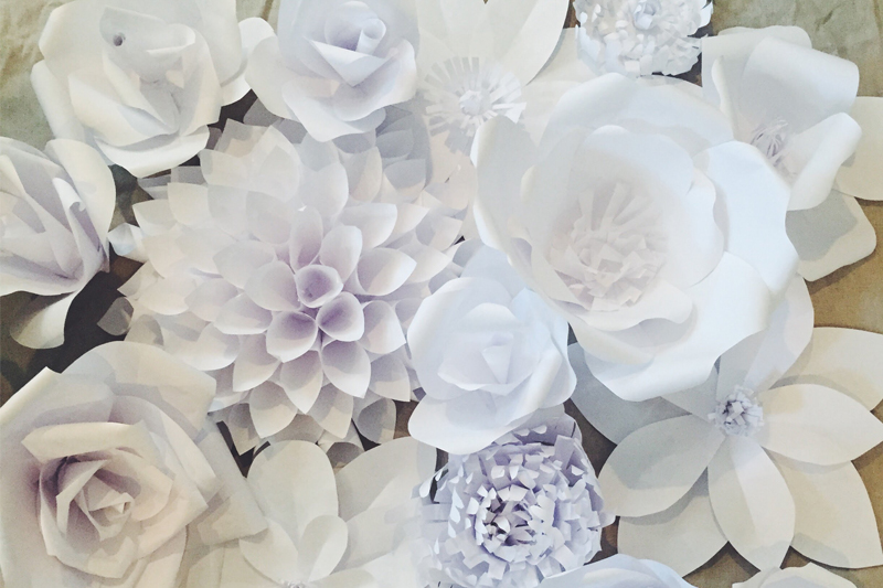 Qualquer forma de flor vale a pena