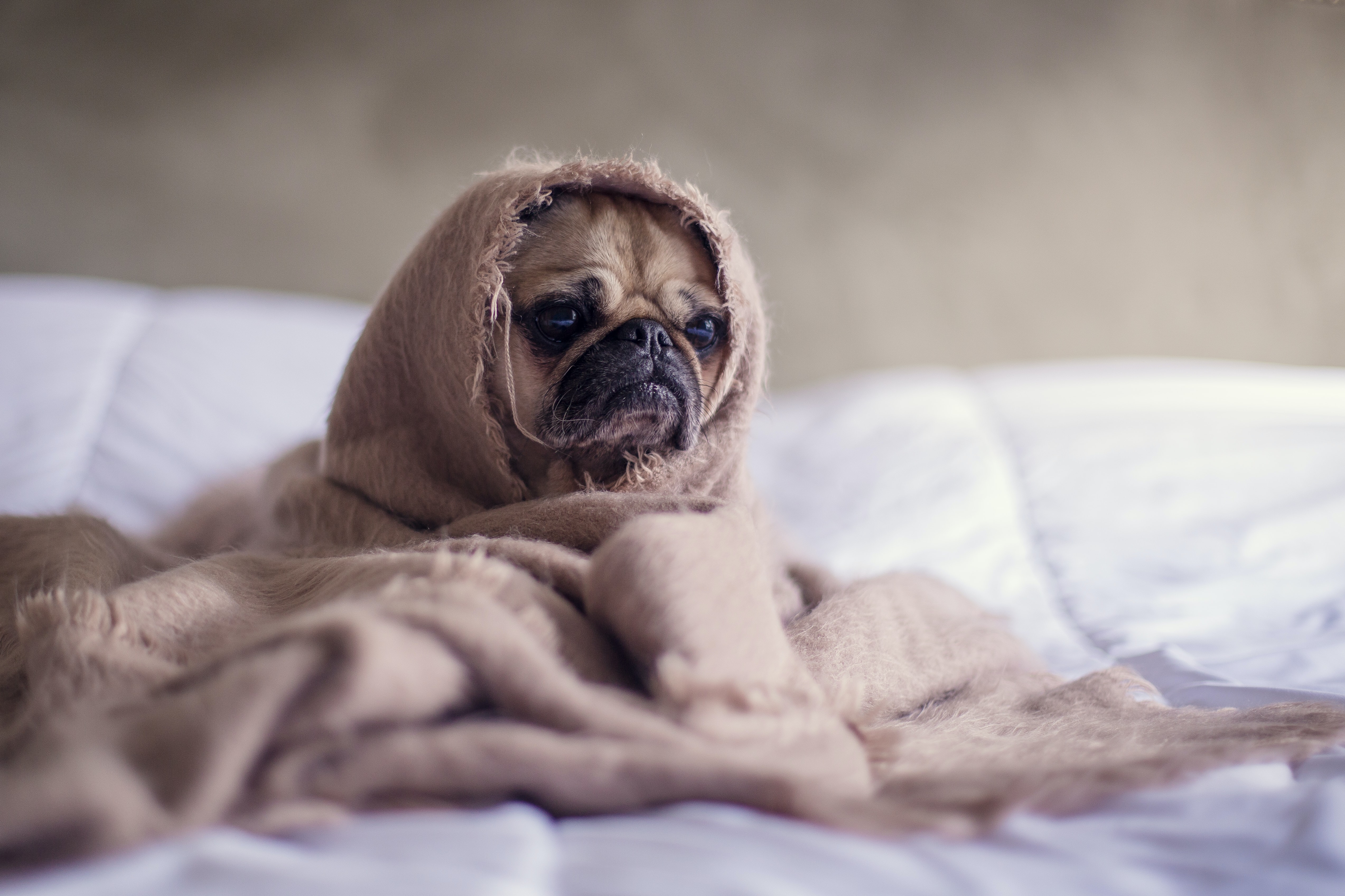 Use pijama: o cérebro entende que está na hora de dormir