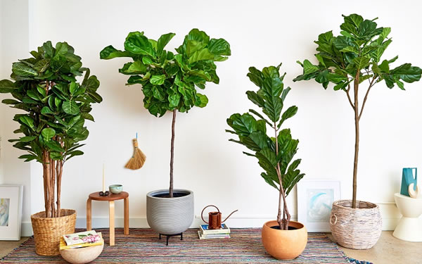 Plantas artificiais para casa: aprenda como decorar!
