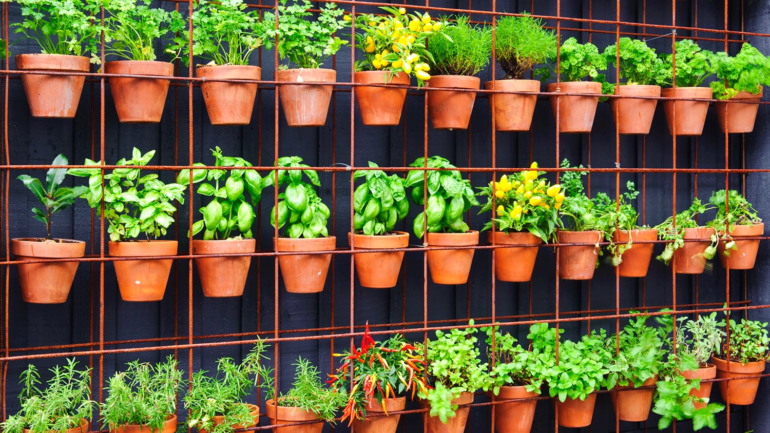 Como fazer uma horta em casa, mesmo em espaços pequenos