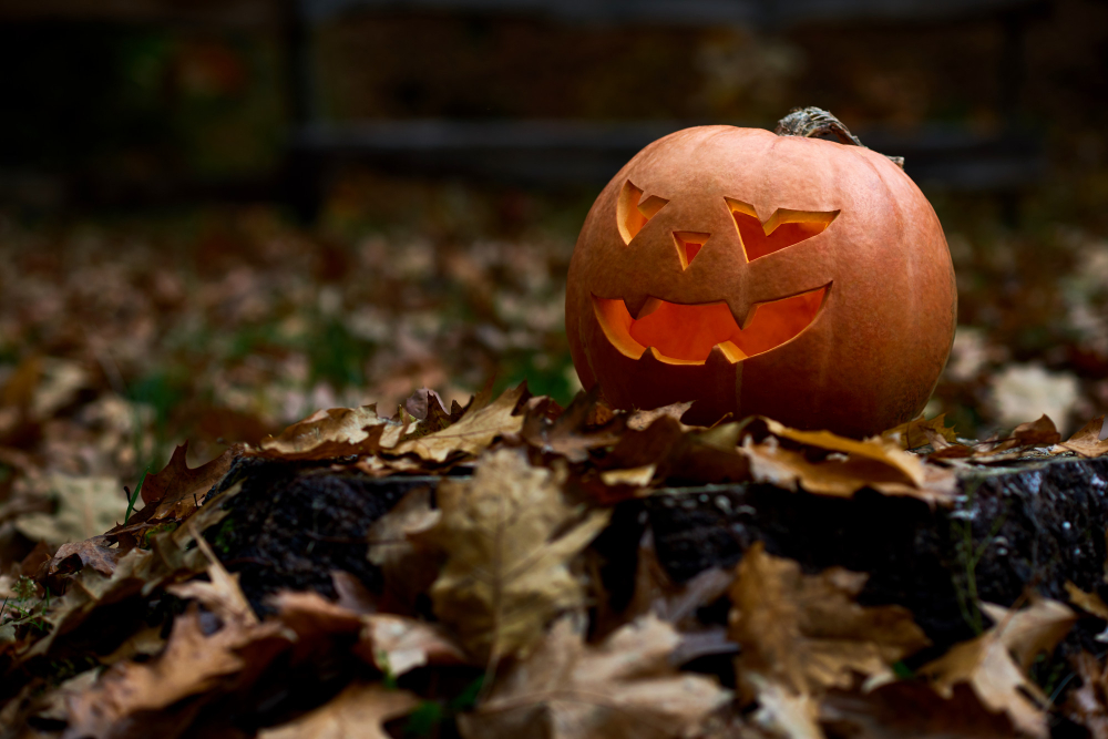 Halloween: produtos para entrar no clima do dia das bruxas