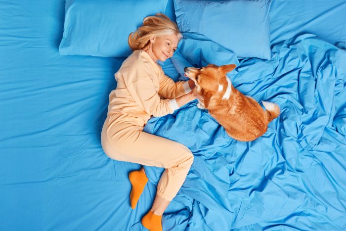 Pets na cama: saiba os prós e contras para compartilhar